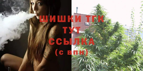 mix Бородино