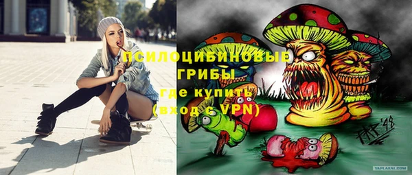 mix Бородино