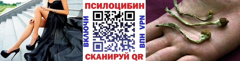 Псилоцибиновые грибы Cubensis  Каменка 